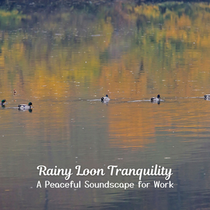 Rainy Loon-scape for Thoughtful Work