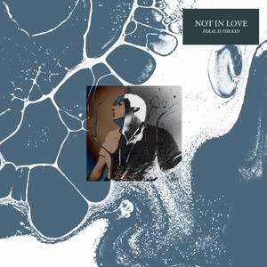 Not in Love