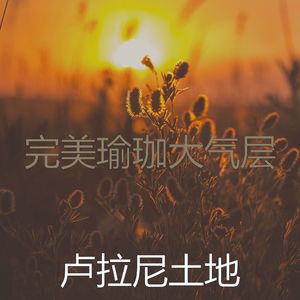 一尘不染睡眠印象数