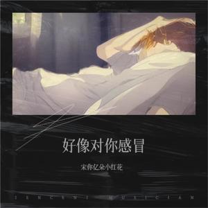 来不及说（Cover:心俞）