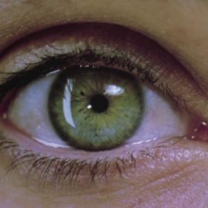 White Noise 白色噪音-Requiem For A Dream (WEEX Bootleg)（WEEX remix）