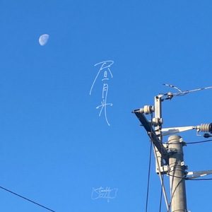 昼月光