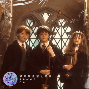 【FREE BEAT】爷 的 麻 瓜 禁 止 访 问