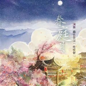 春庭月（笛子琵琶版）