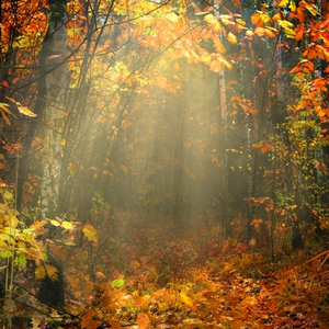 In the Spring of Fact