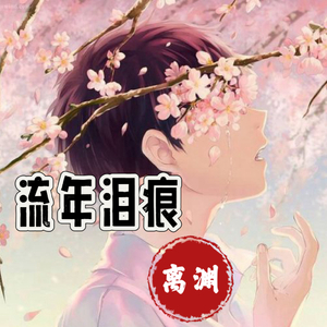 流年泪痕