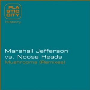 Mushrooms (Noosa Heads Remake)