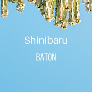 baton