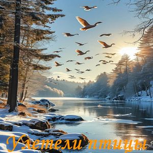 Улетели птицы