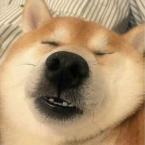 啵啵