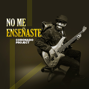 No Me Enseñaste