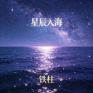 星辰入海