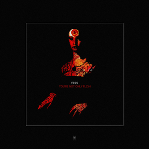 Nocturnal Walk Through The Cemetery (Original Mix)