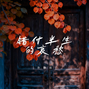 错付半生的哀愁