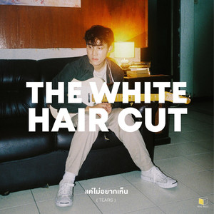 แค่ไม่อยากเห็น (Tears)