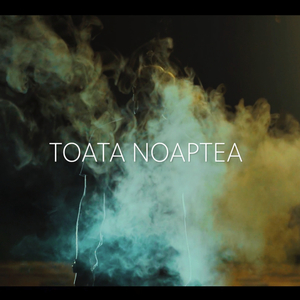 Toata Noaptea