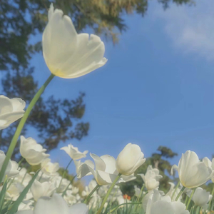 宇宙之恋成遗憾