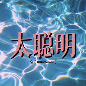 太聪明（翻唱）