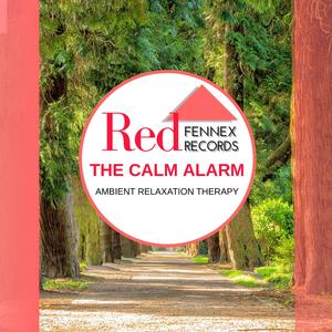 Soulful Temple Mornings