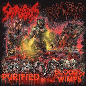 Pulverized Crainial Fragments