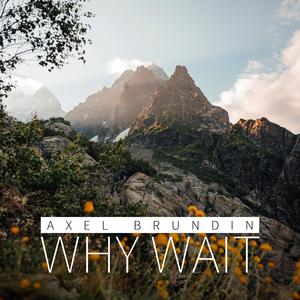 Why Wait