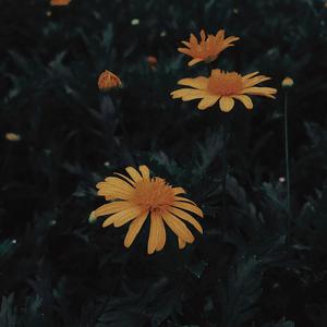 ʙʟᴜᴇ ʙʟᴜᴇ ᴅᴀʏ :(