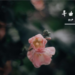 沉默假面 伴奏