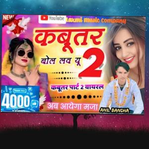 कबूतर बोल लव यू टू सिंगर अनिल बंधा