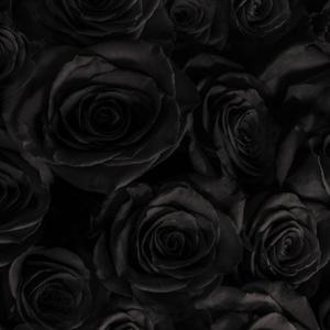 Black Energy