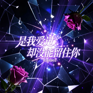 是我爱过却没能留住你