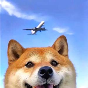 幸福なわがまま