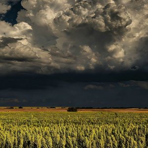 很遗憾我们不能再见面了