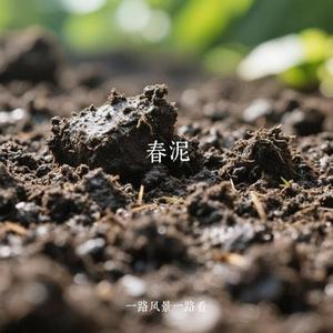 春泥 (Cover 林栖)