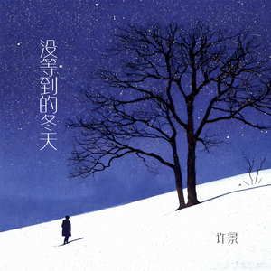 没等到的冬天