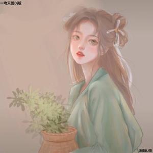 生生世世爱 (Dj版)