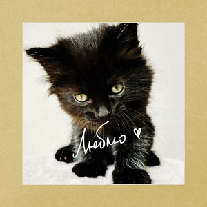 Завершение