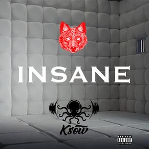 Insane (feat. Kupp)