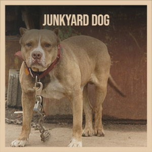 Junkyard Dog