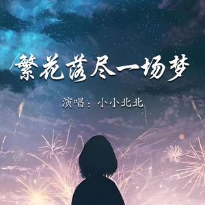 繁花落尽一场梦