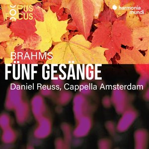 Fünf Gesänge, Op. 104: V. Im Herbst