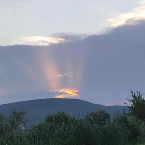 Walk, fall, stand up