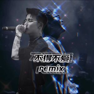 不得不爱Remix（feat.McLee）