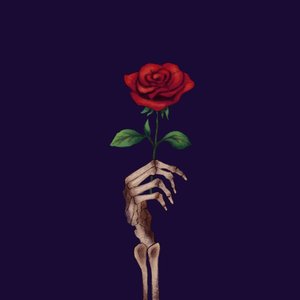 O Jardim das Rosas