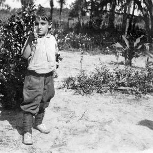 Gangstalked by an Angel