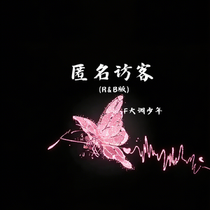 匿名访客（R&B版）