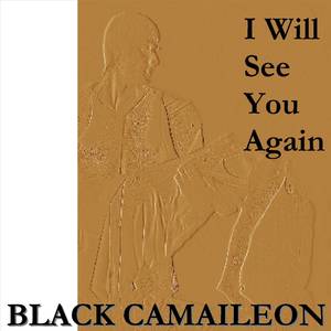 I Will See You Again