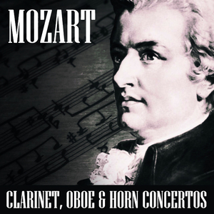 Concerto for Horn and Orchestra No. 3 in E Flat Major, KV. 447:III. Allegro