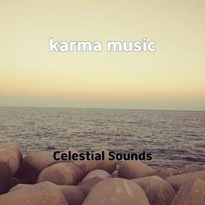 karma music