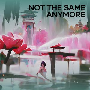 Not the Same Anymore