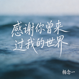 感谢你曾来过我的世界